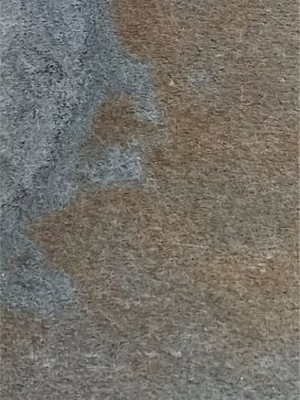 ArgA02